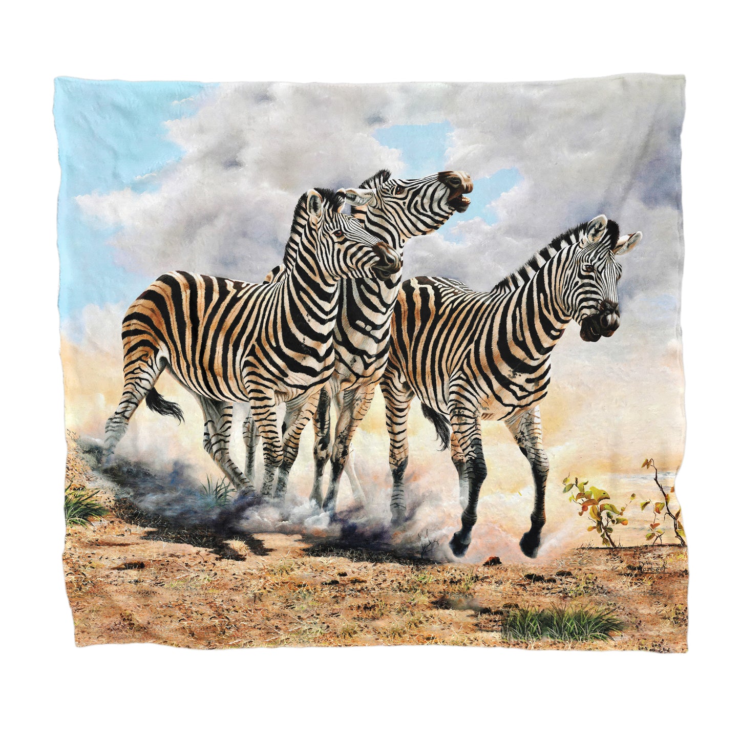 Zebra Fleece Blanket by Delene Lambert.